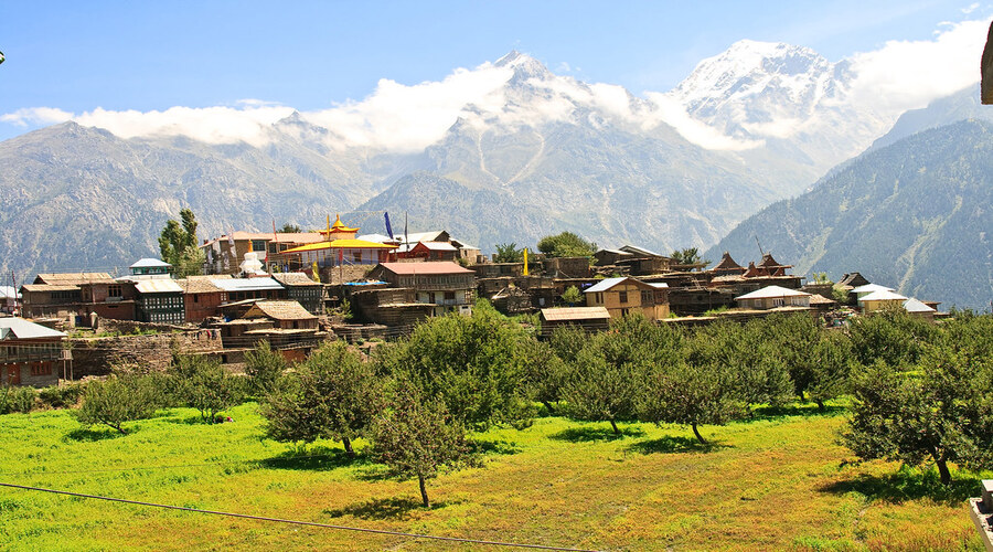 Kalpa | Himachal pradesh
