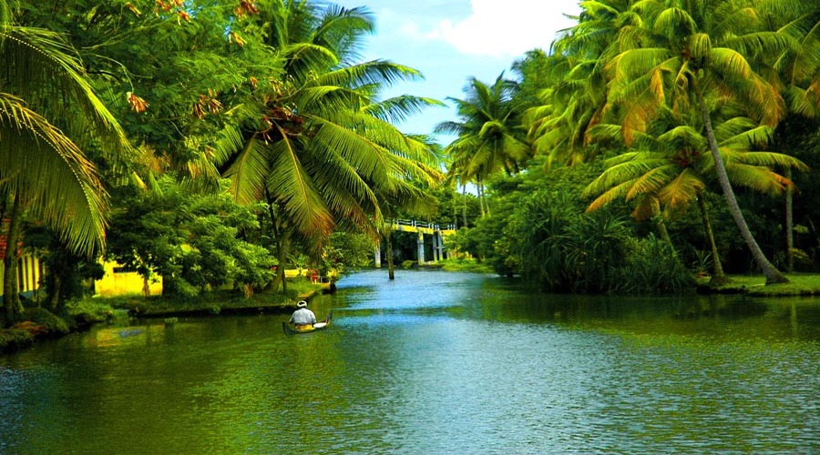 Kerala backwater| Kerala honeymoon packages| Customisable kerala tour packages