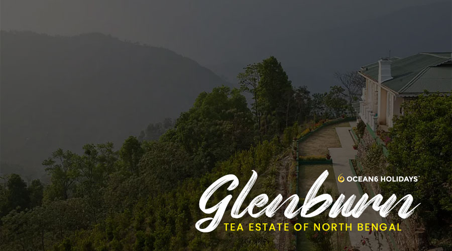 Glenburn Tea Estate