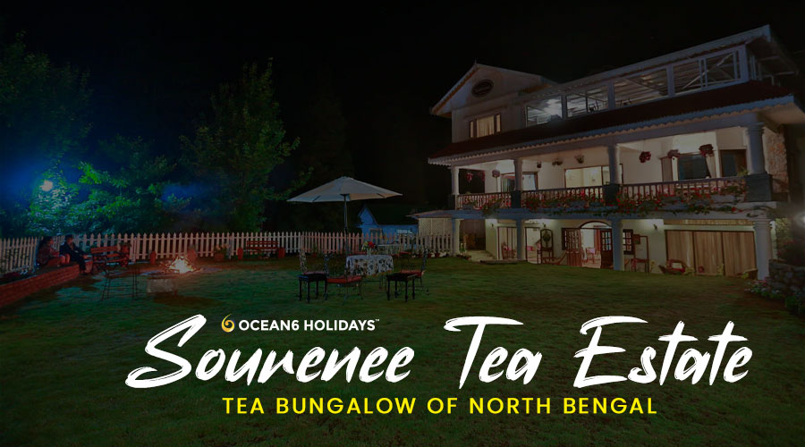 Sourenee Tea Estate | Tea Garden of Darjeeling