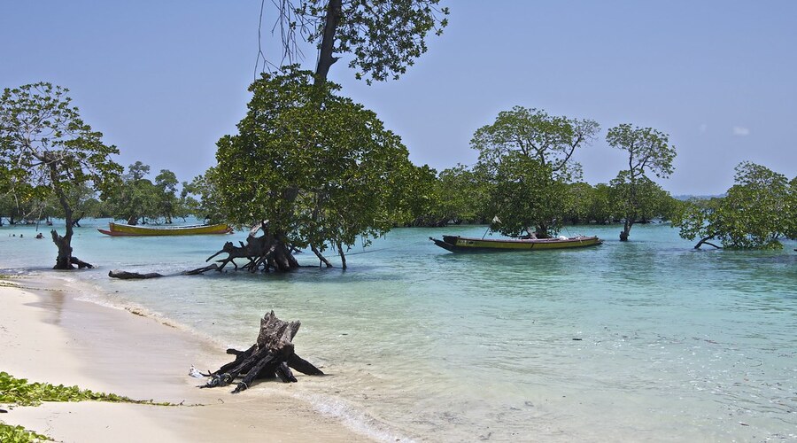 Neil island | andaman and nicobar island | HOneymmon packages