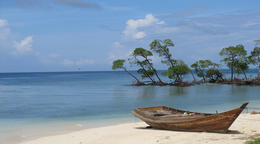 Havelock island andaman and nicobar |  Best honeymoon packages