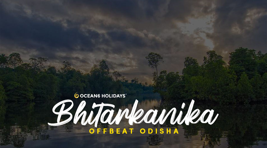 Bhitarkanika