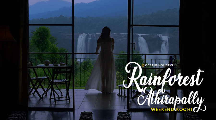 Explore Rainforest Athirapally