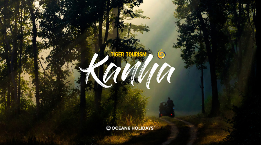 Kanha Tour Packages – Travel Tips And Guides For Your Next Trip to Kanha National Park