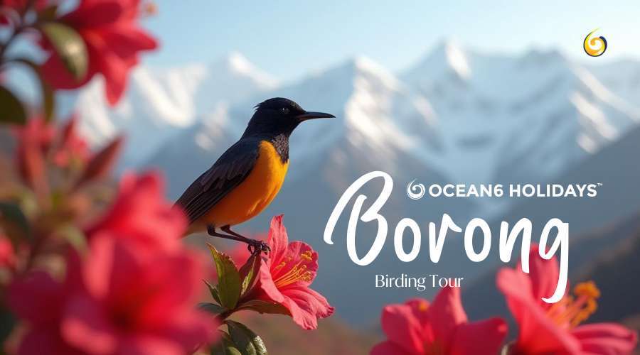 Borong Birding Tour: A Hidden Paradise in South Sikkim