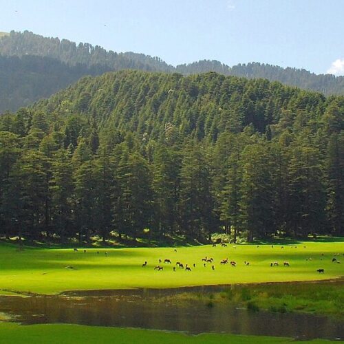 himachal-amritsar-tour