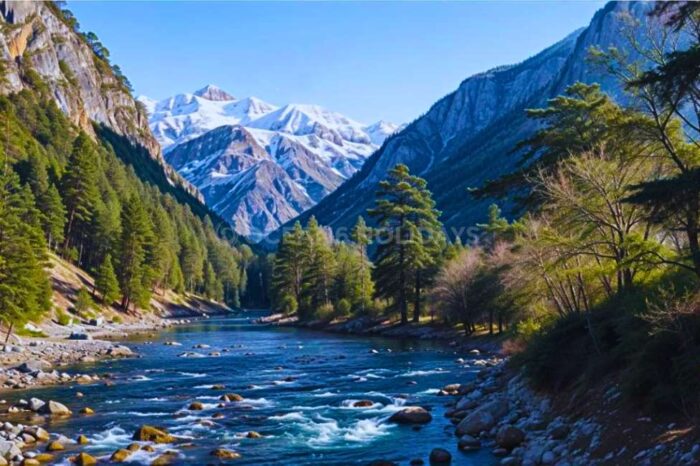 2N/3D Kasol Tour