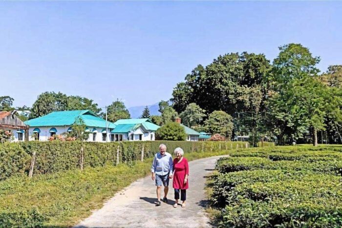 Chuapara Tea Estate