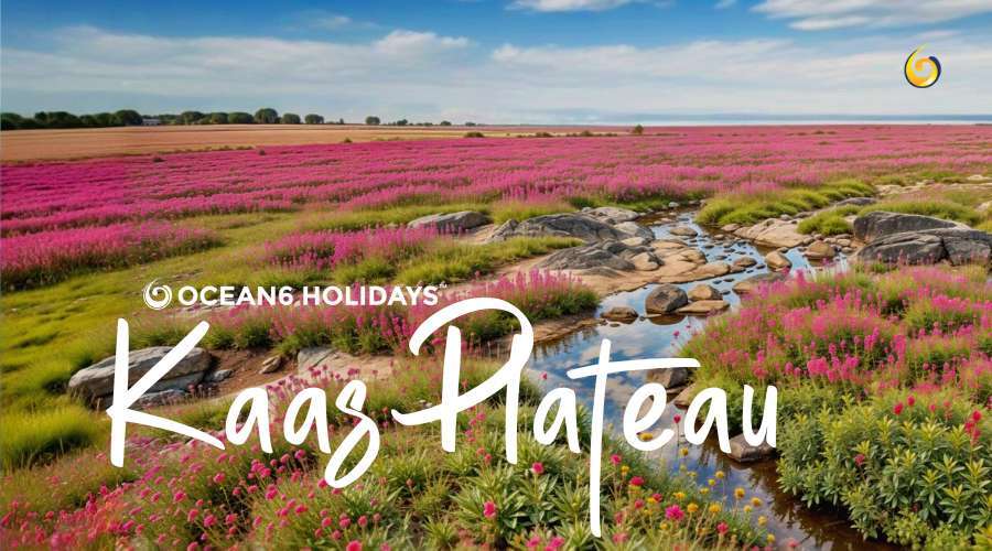 Kaas Plateau Tour: Maharashtra’s Valley of Flowers