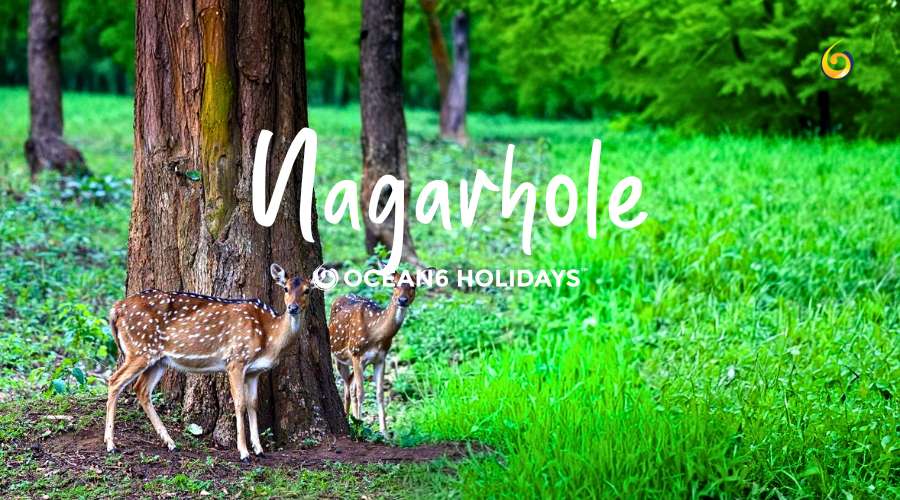 nagarhole-tour