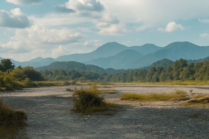 Assam