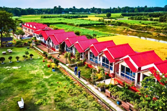Shantipur & Phulia