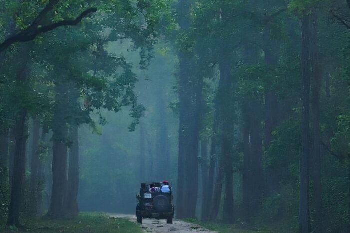 Tiger Tourism