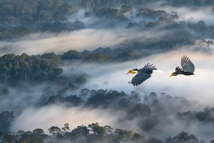 Malaysia