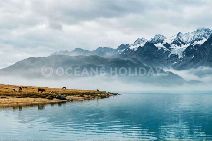 2N/3D Pong Dam Lake Tour