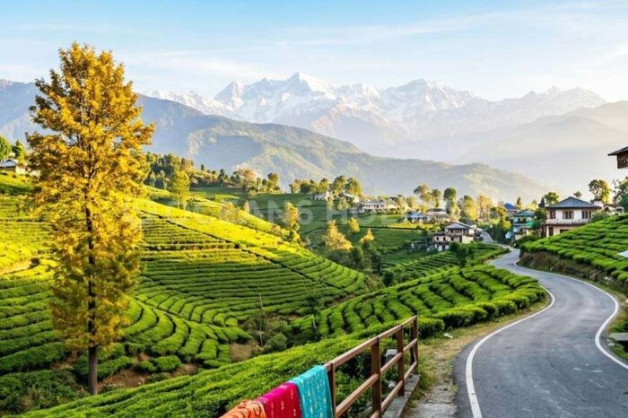 5N/6D Palampur & Khajjiar Tour