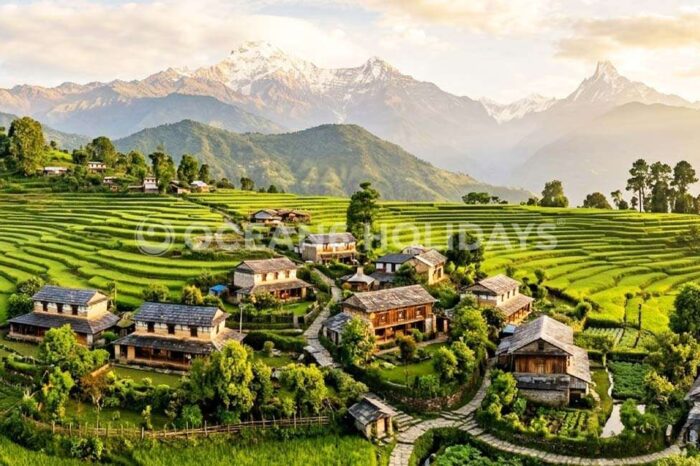 6N/7D Shimla, Palampur & Dharamshala Tour