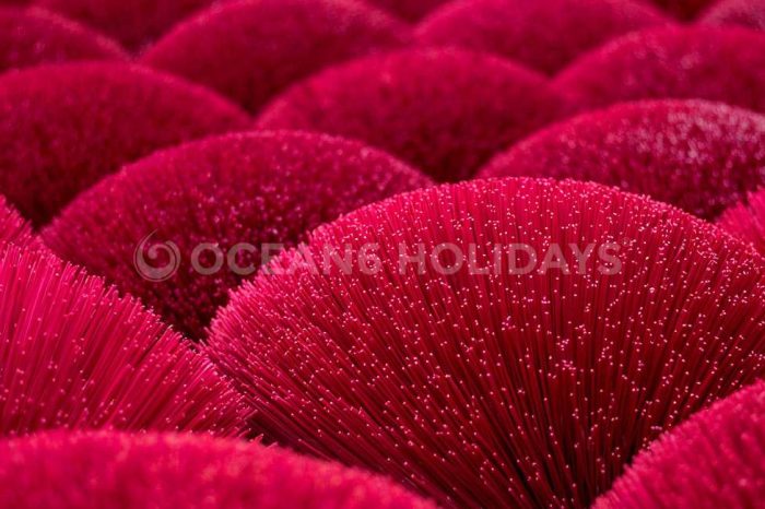 4N/5D Da Nang & Hoi An Tour Package