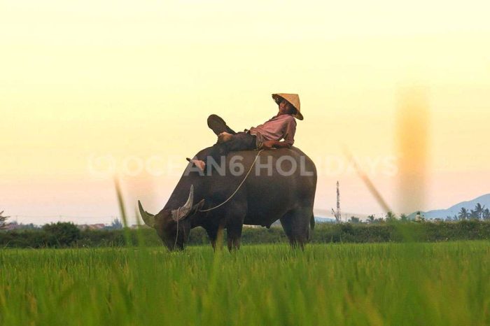 4N/5D Phu Quoc Tour Package