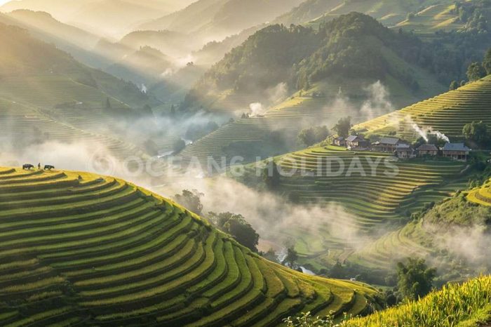 6N/7D Hanoi, Ha Long Cruise, Sapa & Ninh Binh Tour Package