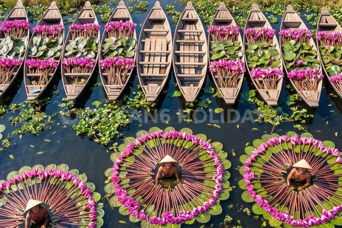 8N/9D Hanoi, Ha Long Cruise, Da Nang & Saigon Tour Package