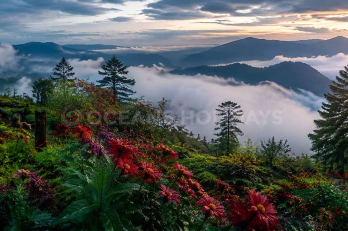 2N/3D Loleygaon Tour