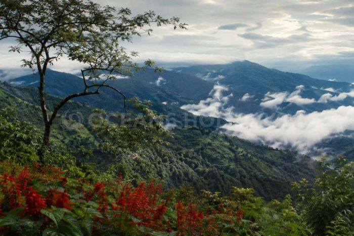 2N/3D Pabong Tour