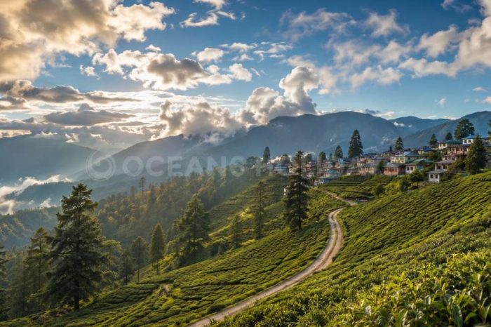 2N/3D Rangaroon Tour