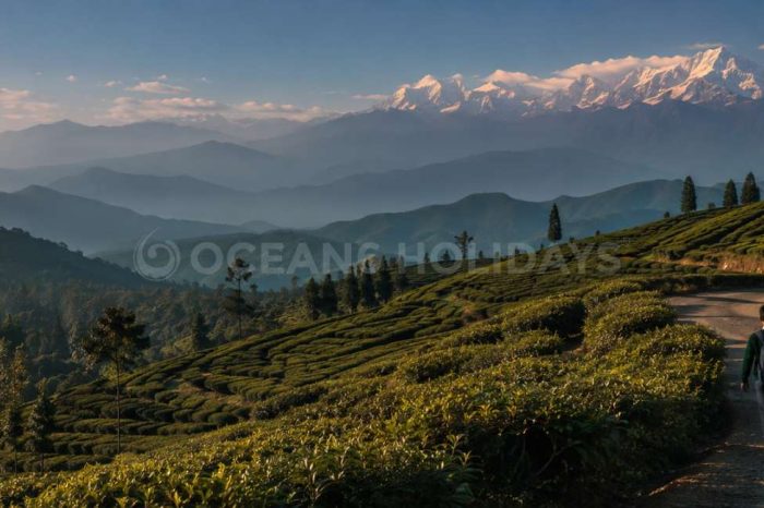 2N/3D Tukvar Tour