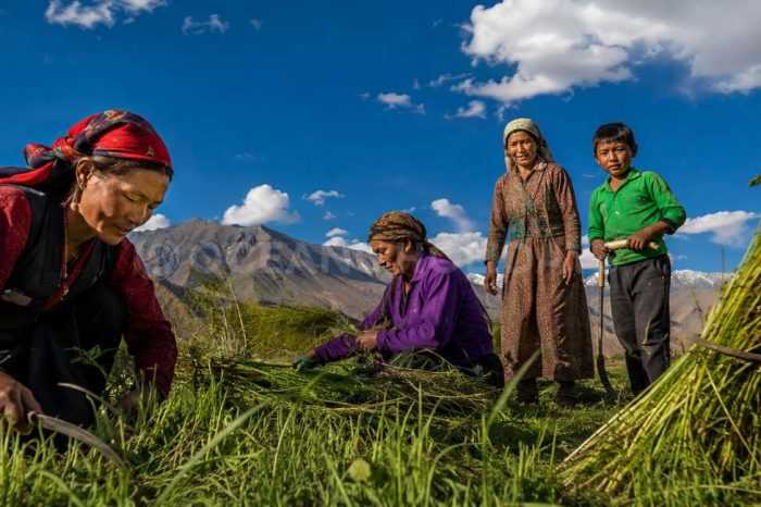 Ladakh