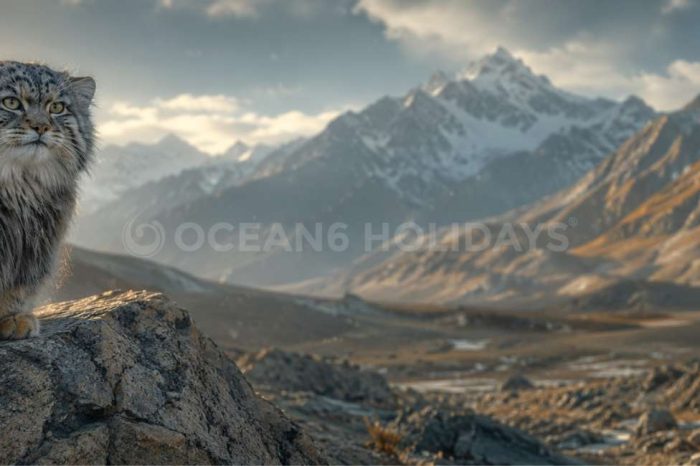 Ladakh