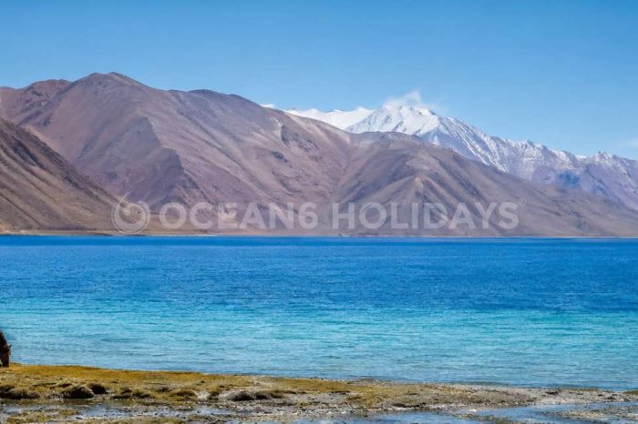 7N/8D Ladakh Tour Package with Tsomoriri