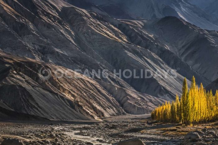 8 Days Leh Ladakh Tour Package