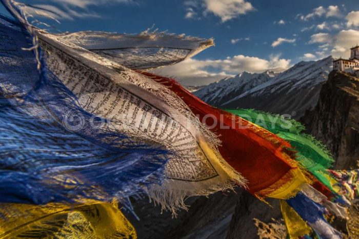 Ladakh 7 Days Package