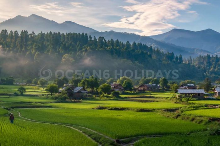 9N/10D Ziro Aalo Mechuka Tour