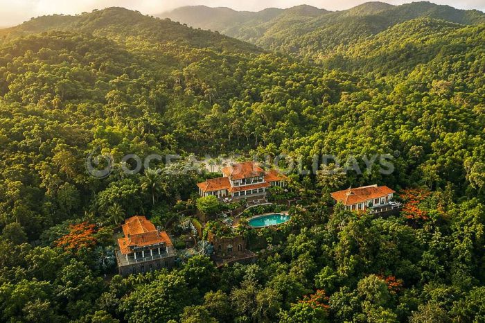 Kahani Paradise