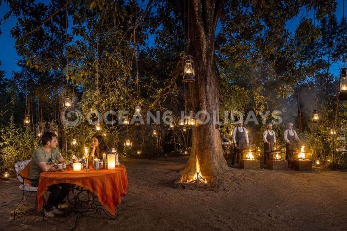 Jungle Lodges & Resorts