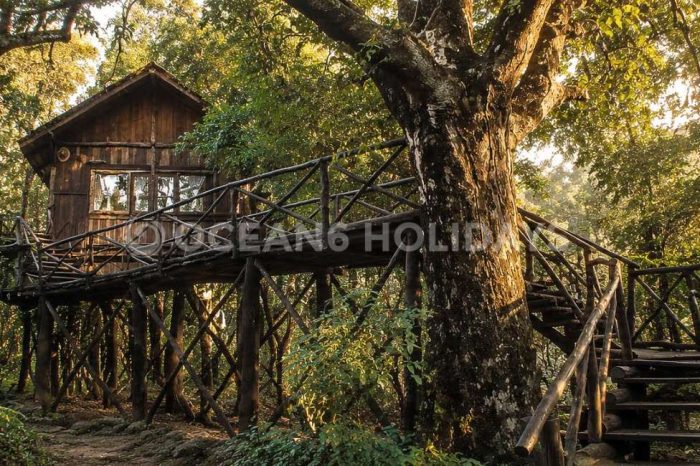 Jungle Lodges & Resorts