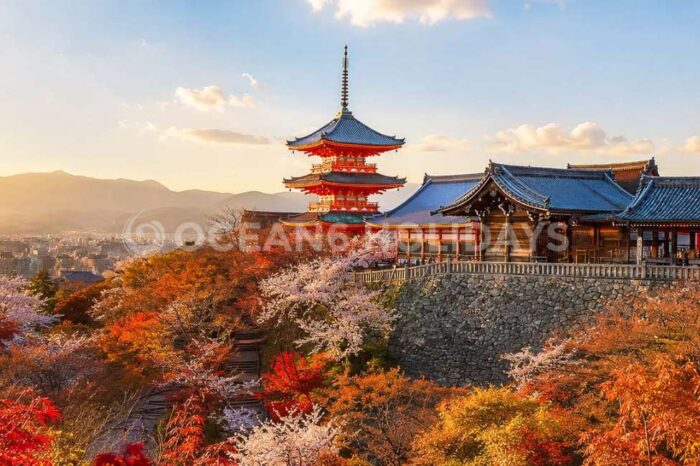 10N/11D Japan Tour Package