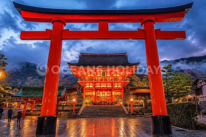 6N/7D Japan Tour Package