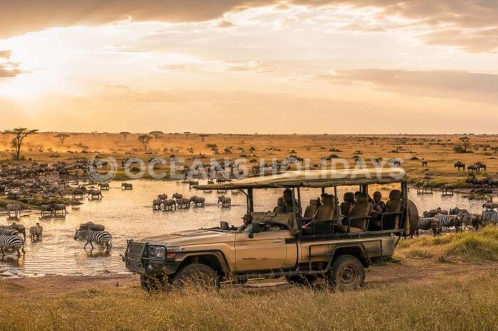 6N/7D Tanzania Tour Package