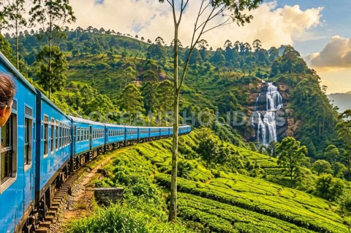 9N/10D Sri Lanka Tour Package