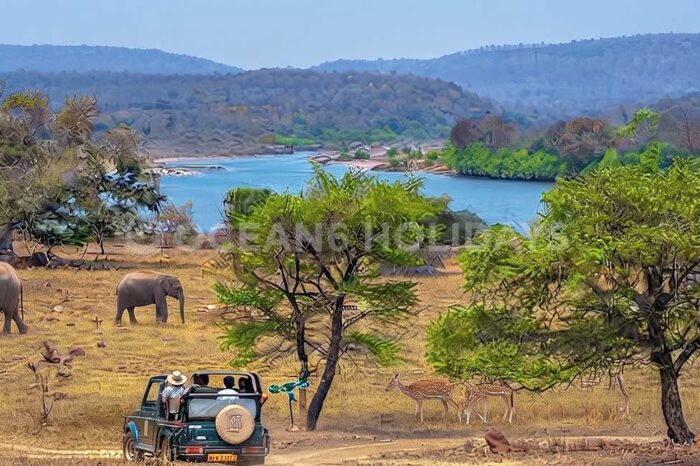 Odisha Offbeat
