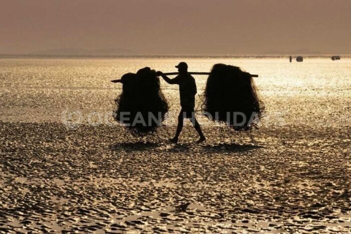 Odisha Offbeat