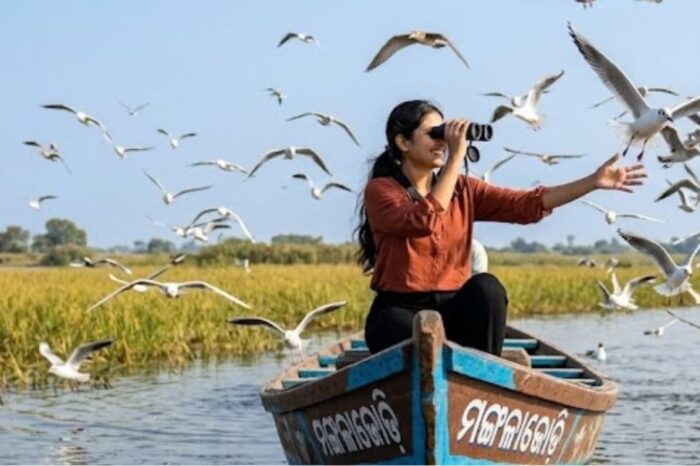 Odisha Offbeat