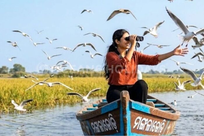 Odisha Offbeat