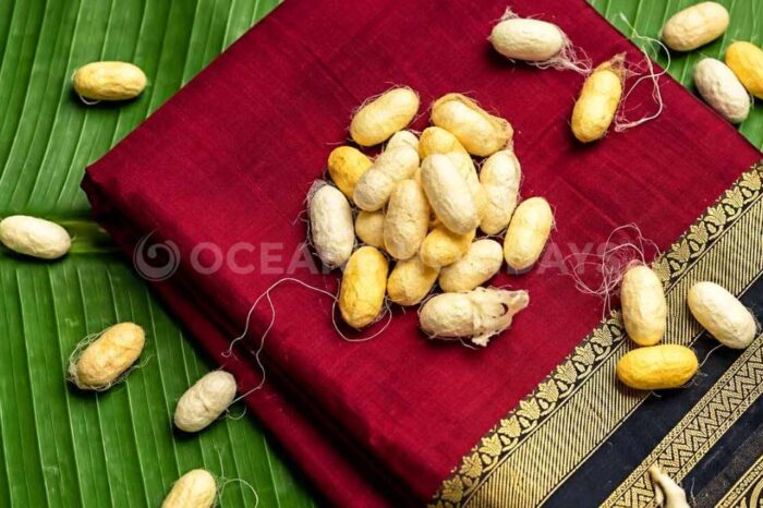 Karnataka Offbeat