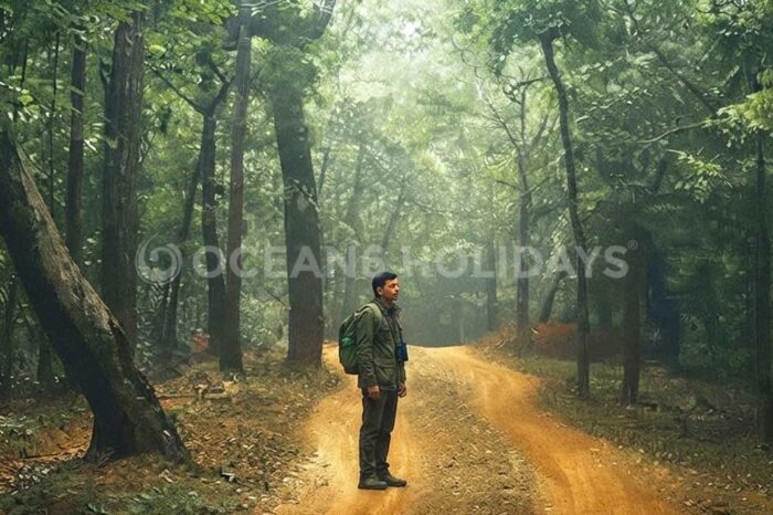 3N/4D Chandipur & Kuldiha Tour
