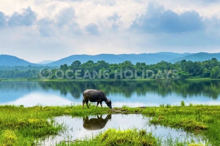 3N/4D Kuldiha & Panchalingeswar Tour